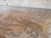  im Mosaik : exotische Tiere