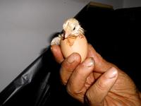  erster Blick in die Welt: Touristen, Touristen,...