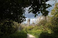 Am Ohr des Dionysios