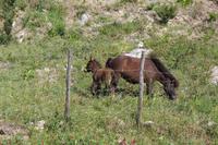 Auf dem Weg nach Sant'Angelo Muxaro