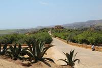 Tempelanlage von Agrigent