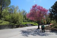 Picknick bei Isnello