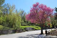 Picknick bei Isnello