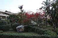 Campofelice di Roccella