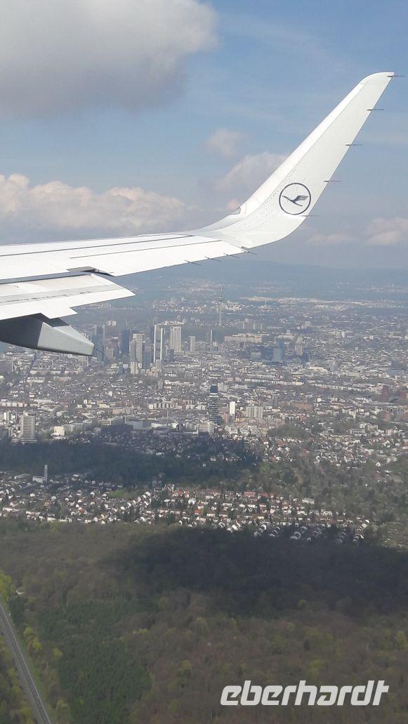 Rückkehr nach Frankfurt