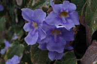 Spaziergang in Giardini Naxos