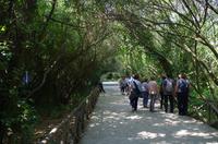 Archäologische Zone Syrakus