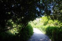 Archäologische Zone Syrakus