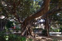 Rundgang in der Altstadt Ortigia