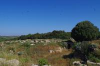 Ausgrabungen von Selinunte