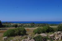 Ausgrabungen von Selinunte