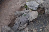 Wanderung auf den Vulcano