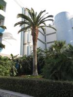 Hotelanlage in Naxos Beach