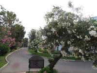 Hotelanlage in Naxos Beach
