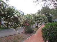 Hotelanlage in Naxos Beach