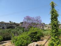 archälogische Zone in Syrakus