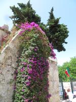 archälogische Zone in Syrakus