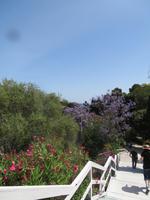 archälogische Zone in Syrakus