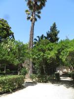 archälogische Zone in Syrakus