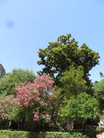 archälogische Zone in Syrakus