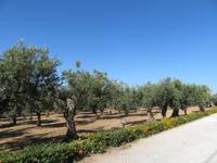 Case di Latomie - Anlage