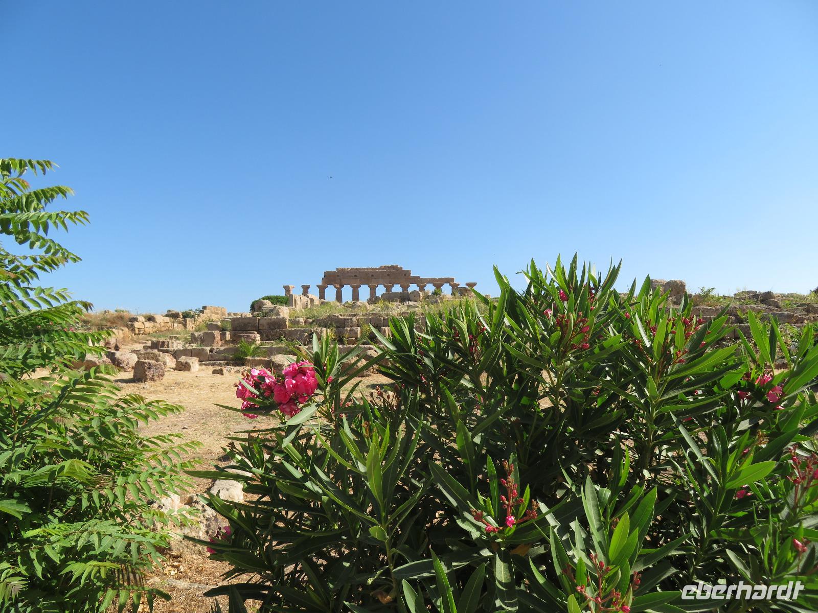 Tempelanlage Selinunte