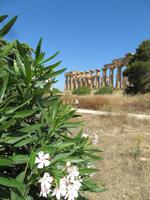 Tempelanlage Selinunte