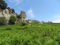 Hochebene von Argimusco - Megalithen