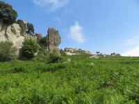 Hochebene von Argimusco - Megalithen