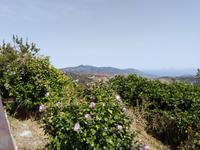 21.07.2018 Sizilien Landschaft bei Montalbano d' Elicona