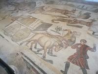 Szenen aus dem Alltag ...