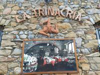 Trinacria  -  alter Name Siziliens, heute Symbolfigur für die Insel.