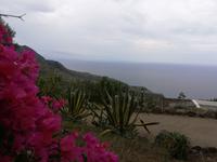 ... und noch einer ...