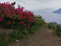 ...und noch einer ...