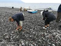 Steinreicher Boden - darunter schöne bunte Steine.