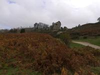 Mythische Verklärung unserer Vorfahren...