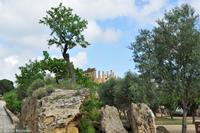 Agrigento - Griechische Anlage Agrigent