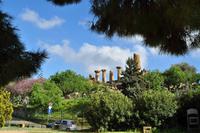 Agrigento - Griechische Anlage Agrigent