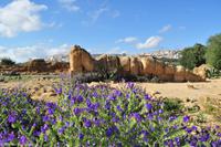 Agrigento - Griechische Anlage Agrigent
