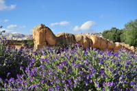 Agrigento - Griechische Anlage Agrigent