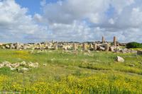 Antike Anlagen von Selinunte