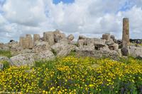 Antike Anlagen von Selinunte