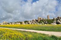 Antike Anlagen von Selinunte