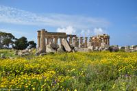 Antike Anlagen von Selinunte