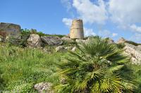 Antike Anlagen von Selinunte