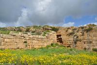 Antike Anlagen von Selinunte