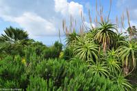 Antike Anlagen von Selinunte