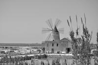 Salzstraße - Salinen von Marsala