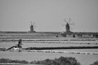 Salzstraße - Salinen von Marsala