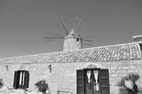 Salzstraße - Salinen von Trapani